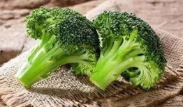 西兰花cp圈内人爆料小说